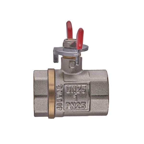 Кран кульовий Waterpro WP602-25FFW - 1" ГГМ (сталевий метелик) (WP3292) WP3292 фото