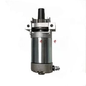 Електричний стартер для двигуна AL-KO PRO 350 LC1P85FA, 12 В (418286) 418286 фото