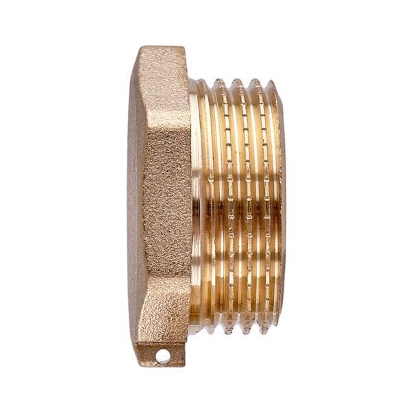 Заглушка Koer KF.P08M.WN - 3/4'' M без нікелю (KR5572) KR5572 фото