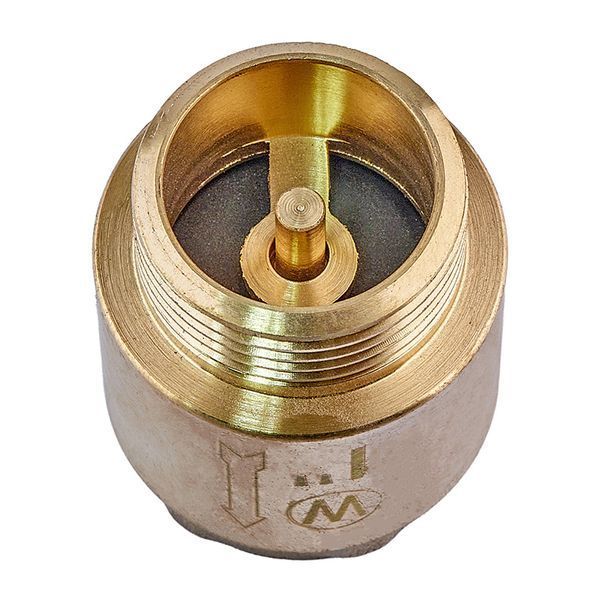 Клапан зворотній ГШ (латунь) Waterpro WP301-25 - 1" (WP3313) WP3313 фото