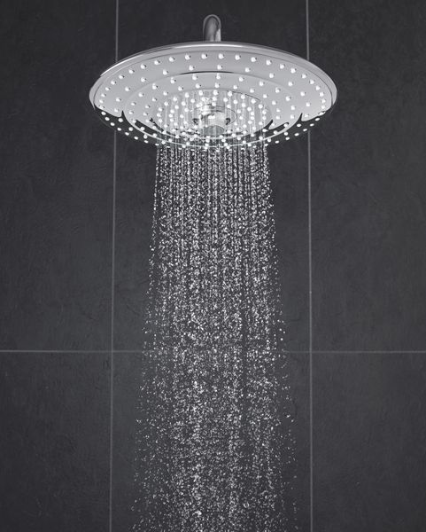 Верхний душ с потолочным кронштейном Grohe Euphoria (26461000) 26461000 фото