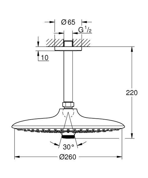 Верхний душ с потолочным кронштейном Grohe Euphoria (26461000) 26461000 фото