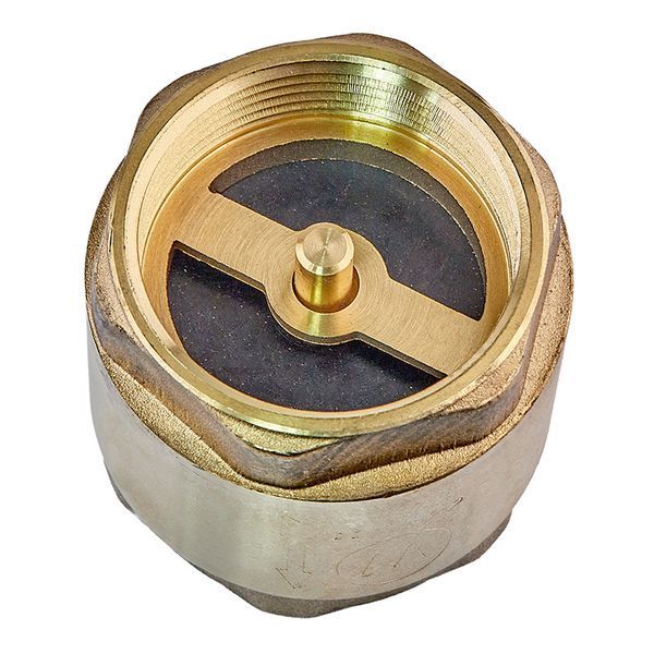 Клапан обратный (латунь) Waterpro WP300-40 - 1 1/2" (WP3311) WP3311 фото