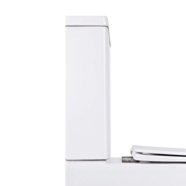 Бачок для унитаза-компакта Mixxus Ellipse-0403-T3 Tank 640х360х835 со сливной арматурой (MI8318) MI8318 фото