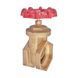 Засувка клинова Koer KR.280 - 4" (KR5804) KR5804 фото 2