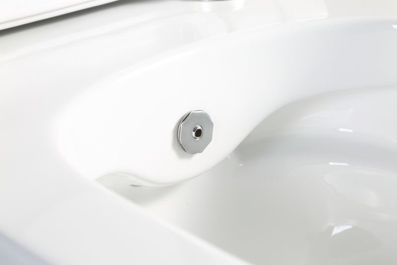 Унітаз-біде підвісний Mixxus Premium ELLIPSE-1301-R 500x365x350mm система змиву RIMLESS (MP6659) MP6659 фото