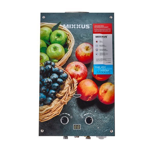 Газова колонка MIXXUS GWH-0310 BASIC GLASS димохідна 10 л/хв (панель зі скла з малюнком) (WH0024) WH0024 фото
