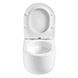 Комплект Grohe Set Унітаз TOPPER-0302-T3 + Інсталяція Grohe Rapid SL 38772001 (38772001TOPPER0302T3) 38772001TOPPER0302T3 фото 10
