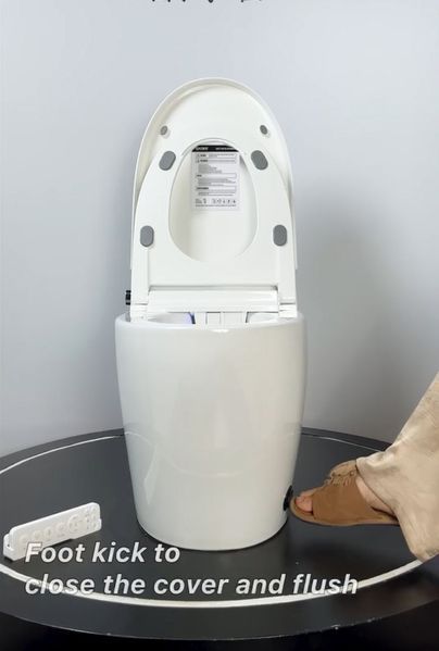 Унитаз-биде напольный с электронным управлением Koer TB-0201 Smart 675x400x450mm со встроенным бачком (KR6071) KR6071 фото