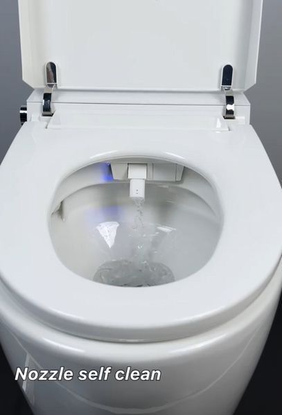 Унитаз-биде напольный с электронным управлением Koer TB-0201 Smart 675x400x450mm со встроенным бачком (KR6071) KR6071 фото