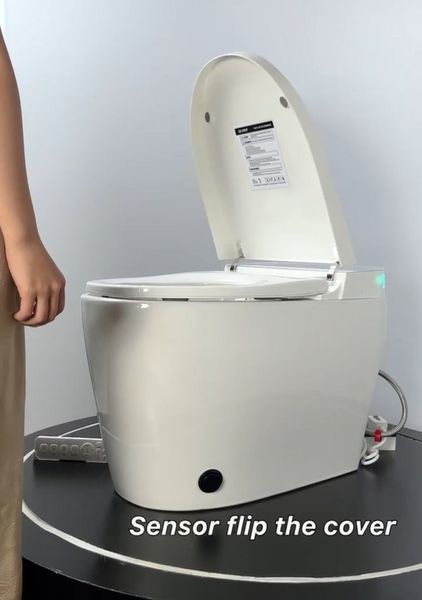 Унитаз-биде напольный с электронным управлением Koer TB-0201 Smart 675x400x450mm со встроенным бачком (KR6071) KR6071 фото