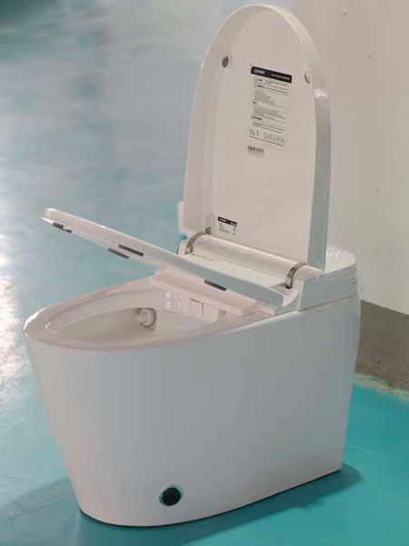 Унитаз-биде напольный с электронным управлением Koer TB-0201 Smart 675x400x450mm со встроенным бачком (KR6071) KR6071 фото