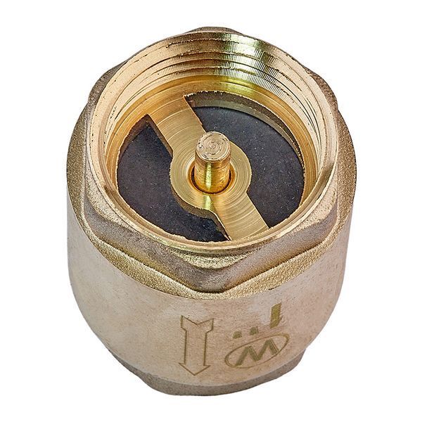 Клапан обратный (латунь) Waterpro WP300-25 - 1" (WP3309) WP3309 фото