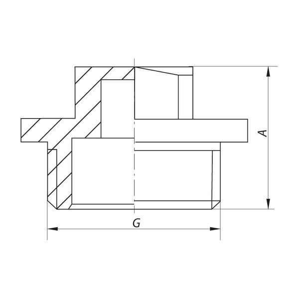 Заглушка Koer KF.P06M.WN - 1/2'' Н (без никеля) (KR3023) KR3023 фото