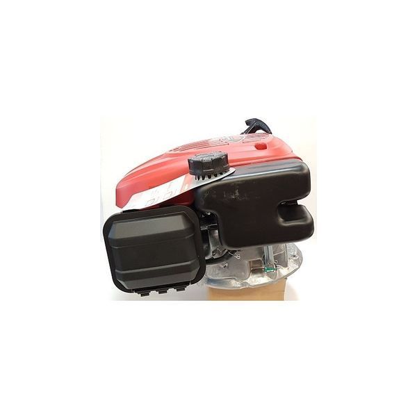 Двигун бензиновий PRO 125 QSS LC1P65FE R3000 EU5 для газонокосарок (457877-22) 457877-22 фото