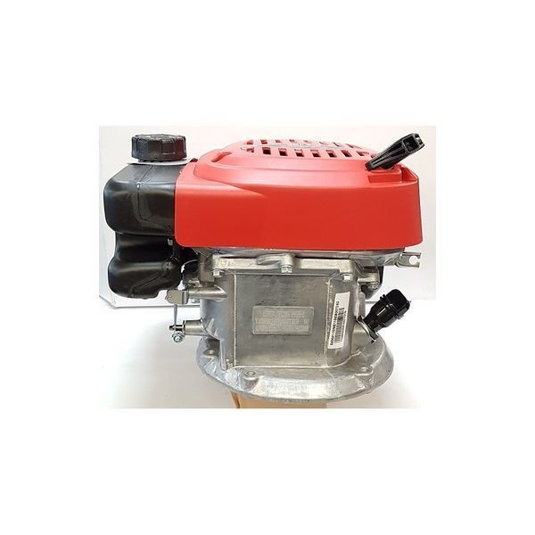 Двигун бензиновий PRO 125 QSS LC1P65FE R3000 EU5 для газонокосарок (457877-22) 457877-22 фото