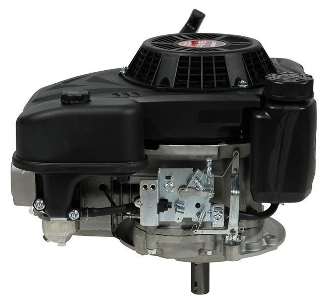 Двигун бензиновий PRO 225 LC1P75F (493099) 493099 фото