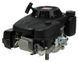 Двигун бензиновий PRO 225 LC1P75F (493099) 493099 фото 4