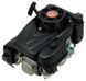 Двигун бензиновий PRO 225 LC1P75F (493099) 493099 фото 1