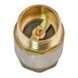Клапан обратный ГШ Waterpro WP301-32FM - 1 1/4" (латунь) (WP3327) WP3327 фото 2