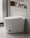Унитаз-биде напольный с электронным управлением Koer TB-0202 Smart 680x405x455mm со встроенным бачком (KR6072) KR6072 фото 28